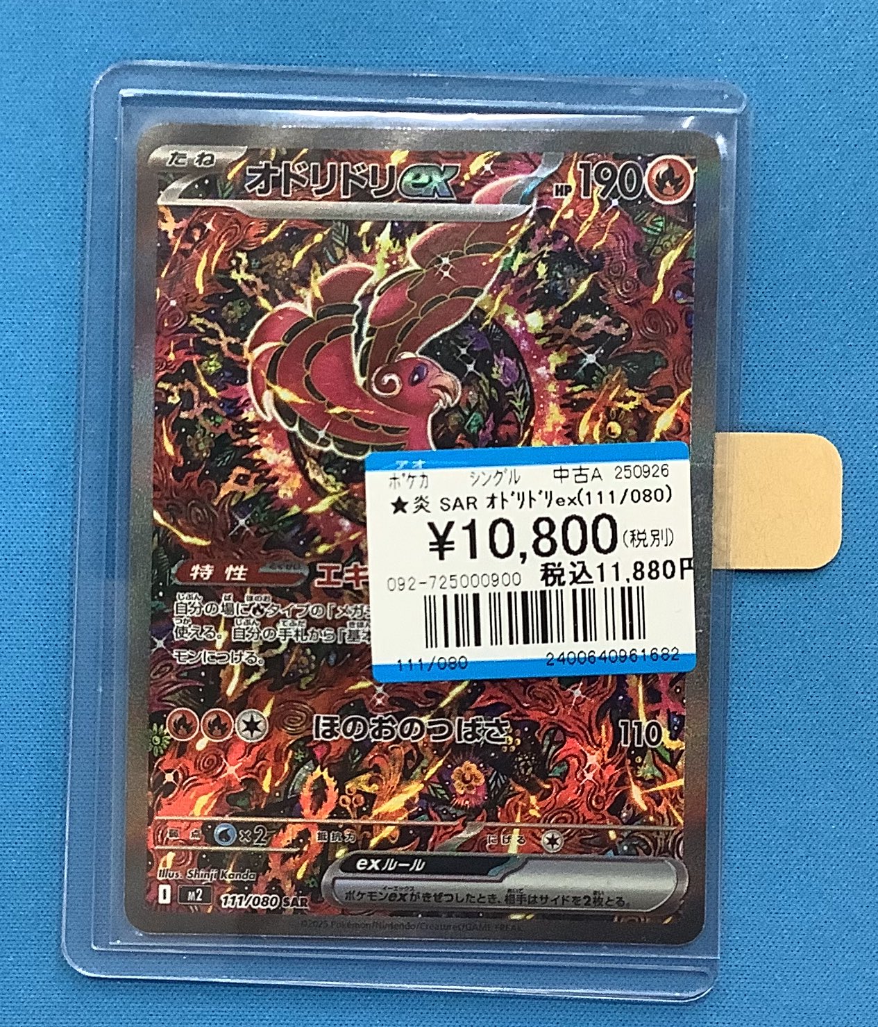 PSA10】オドリドリex SAR 111/080 ポケカ オドリドリex sar オドリドリ