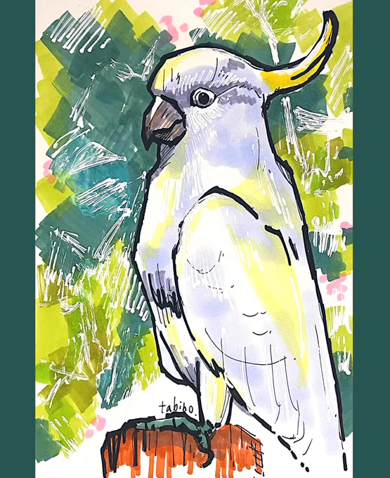 キバタン描きました。少し背景で迷ったので20分くらい。 #鳥イラスト #スケッチ