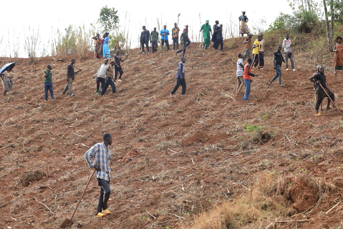 Umuganda rusange usoza ukwezi kwa Nzeri 2025 wakorewe ku rwego rw'umudugudu hakurikijwe ibikorwa byateganijwe.
Ku rwego rw'Akarere #Umuganda wakorewe mu Murenge wa Gahara Akagari ka Murehe umudugudu ya Nyombe,hacukuwe imyobo izaterwamo ibiti ku musozi wa Nyombe &amp;Mugogo
