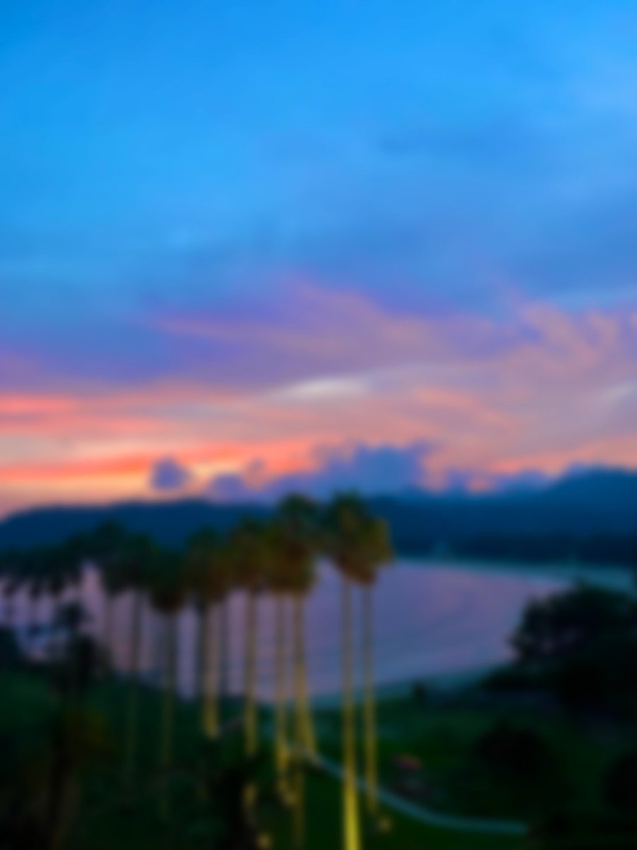 【FANBOXを投稿しました】

先月分投稿できなかった分、もうひとつあげたいなぁ。
今回はただの旅行日記です🤘🏻🌺

伊豆に行ってきた！！！｜羽愛兎みゅう@新人アイドルVtuber｜pixivFANBOX myu-heartno.fanbox.cc/posts/10637731…