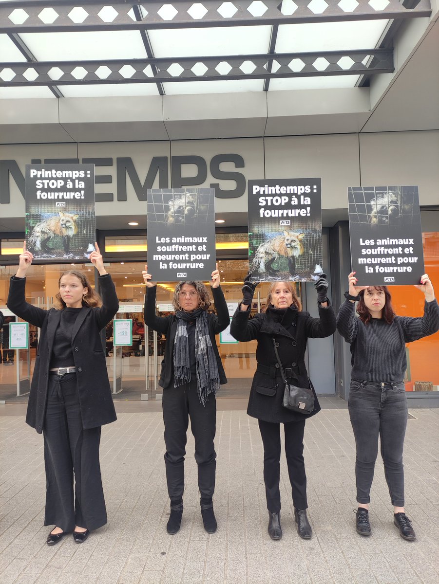 PETA_France's tweet image. 🚨🇫🇷 Aujourd’hui, partout en France, des activistes de PETA ont manifesté devant les magasins @Printemps. ✊

👉 Le message est clair : « Les animaux souffrent et meurent pour la fourrure. Printemps : STOP à la fourrure ! »

#Fourrure #StopCruauté #Printemps