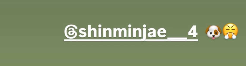 허스트님 옆에 강쥐임티 모에요..?