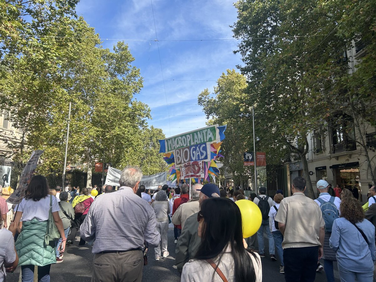 Guillermina tweet media