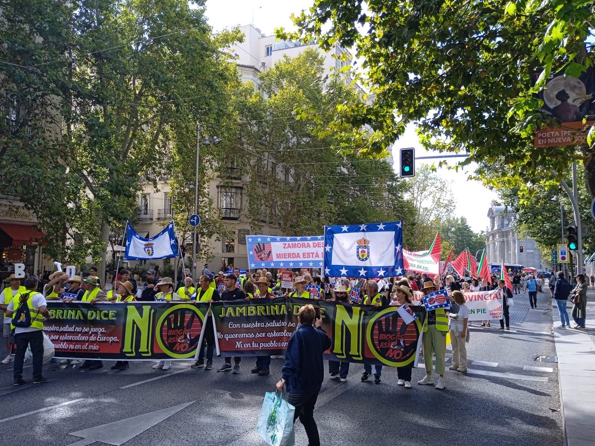 Guillermina tweet media