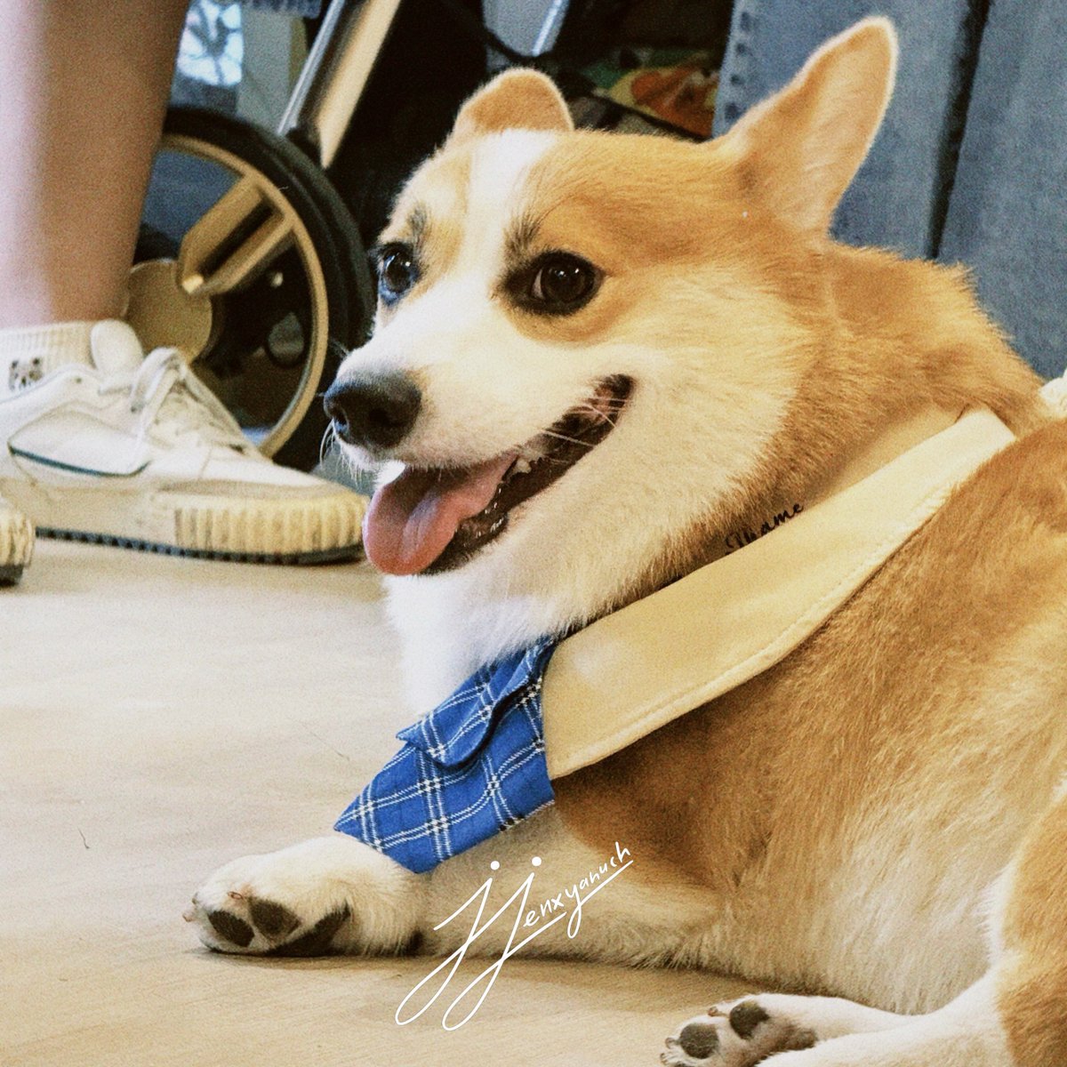 JJenxyanuch's tweet image. เป็นงานวันเกิดที่อบอุ่นน่ารักมากๆ 
ขอบคุณที่จัดงานนี้ขึ้นนะคะ รับรู้ถึงความใส่ใจในรายละเอียดมากๆ 

Dog lover, ผ้าเช็ดหน้า, รูปบนเค้กก็น่ารักมากกกกก ได้ทานทั้งเค้กอร่อยๆแล้วก็เครื่อมดื่มจุใจ 🫶🏻
#THAIchayanon 
#21stShiningTHAIstory