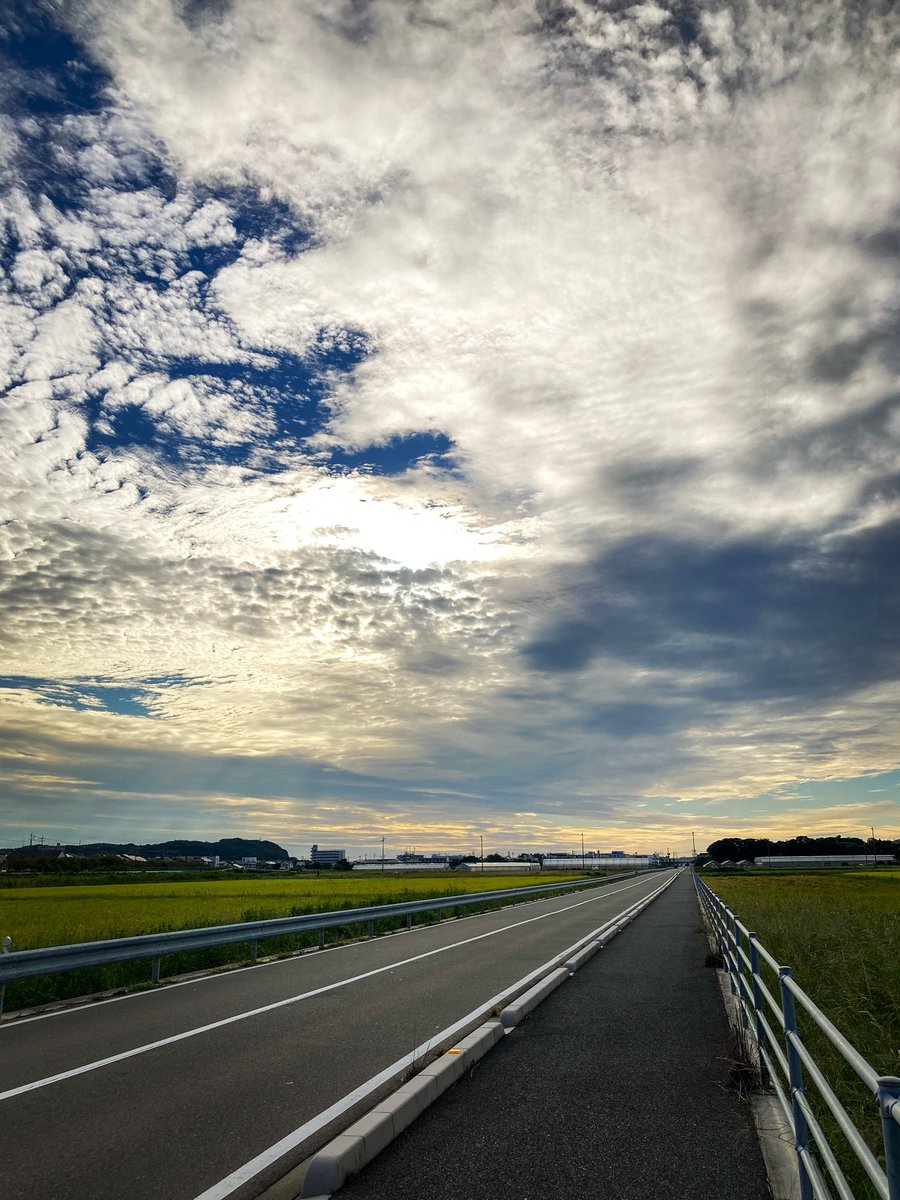 o4_vert tweet picture