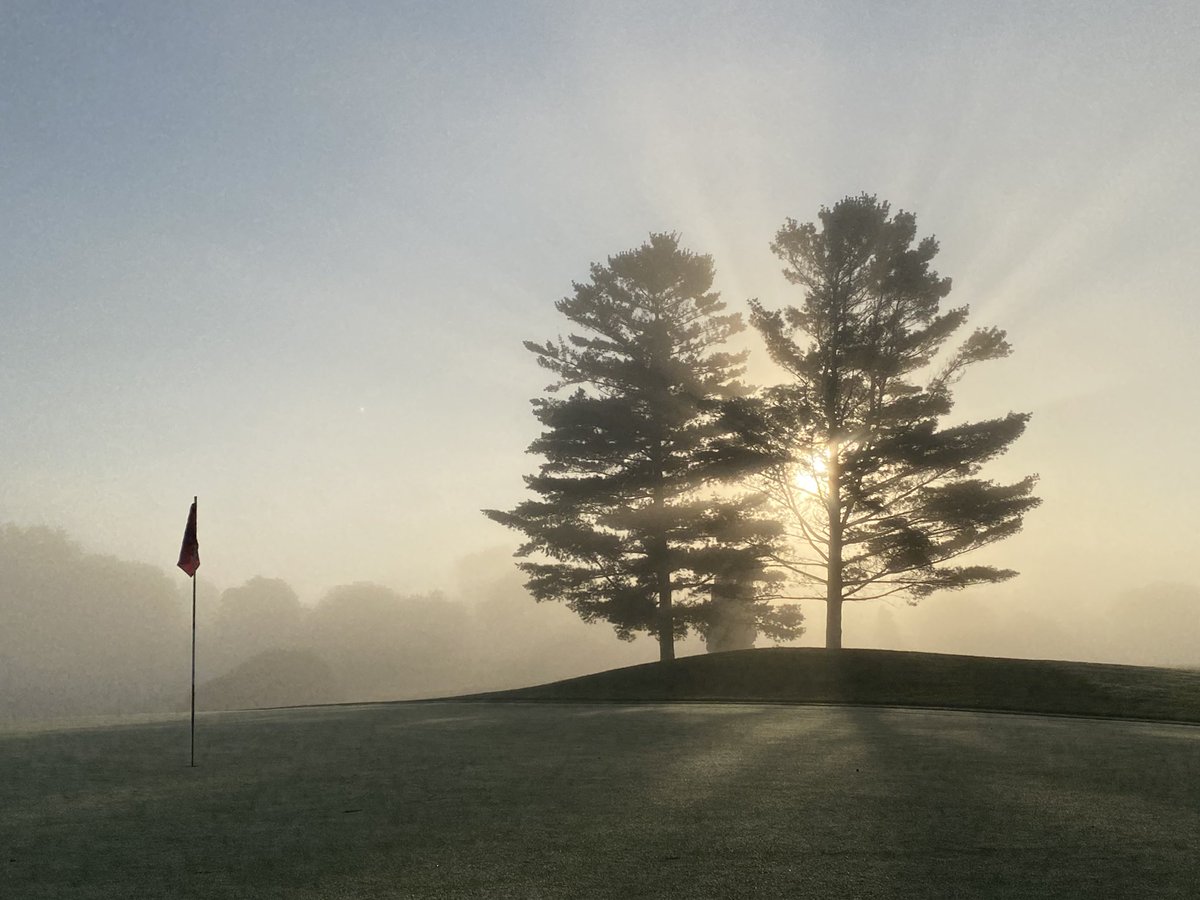 LHCC Grounds tweet media