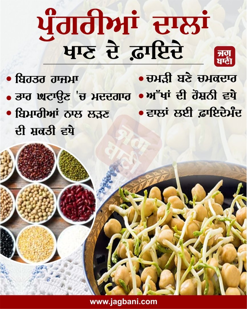 JagbaniOnline's tweet image. ਪੁੰਗਰੀਆਂ ਦਾਲਾਂ ਖਾਣ ਦੇ ਫ਼ਾਇਦੇ
#sprouts #Pulses #Health #Benefits #HealthCare #Essentialfood #Healthyfood