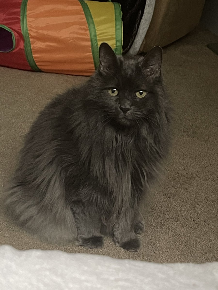 pepperbug's tweet image. PEPPER TIMELINE TAKEOVER 💥💢💢💢💢💥💥💥 GET PEPPERED 💥💥💢