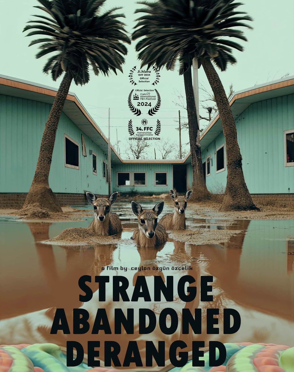 Tüm o “konuşan kafalar” belgesellerini utandıran, müthiş yaratıcı, cesur, enerji fışkıran bir belgesel. Ceylan Özgün Özçelik ABD’de yaşasaydı bildiğimiz tüm önemli dizilere birer bölüm çektirilir, korku antolojilerine davet edilirdi. Çok çok iyi.
#HiçbirŞeyNormalDeğil