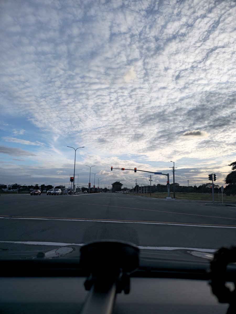 mushroompasta tweet media