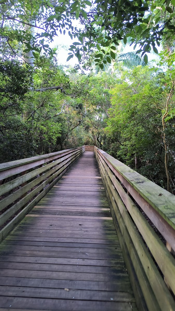 So no concerts for awhile, so I'm at the Green cay nature center and wetlands in Boynton Beach today.
