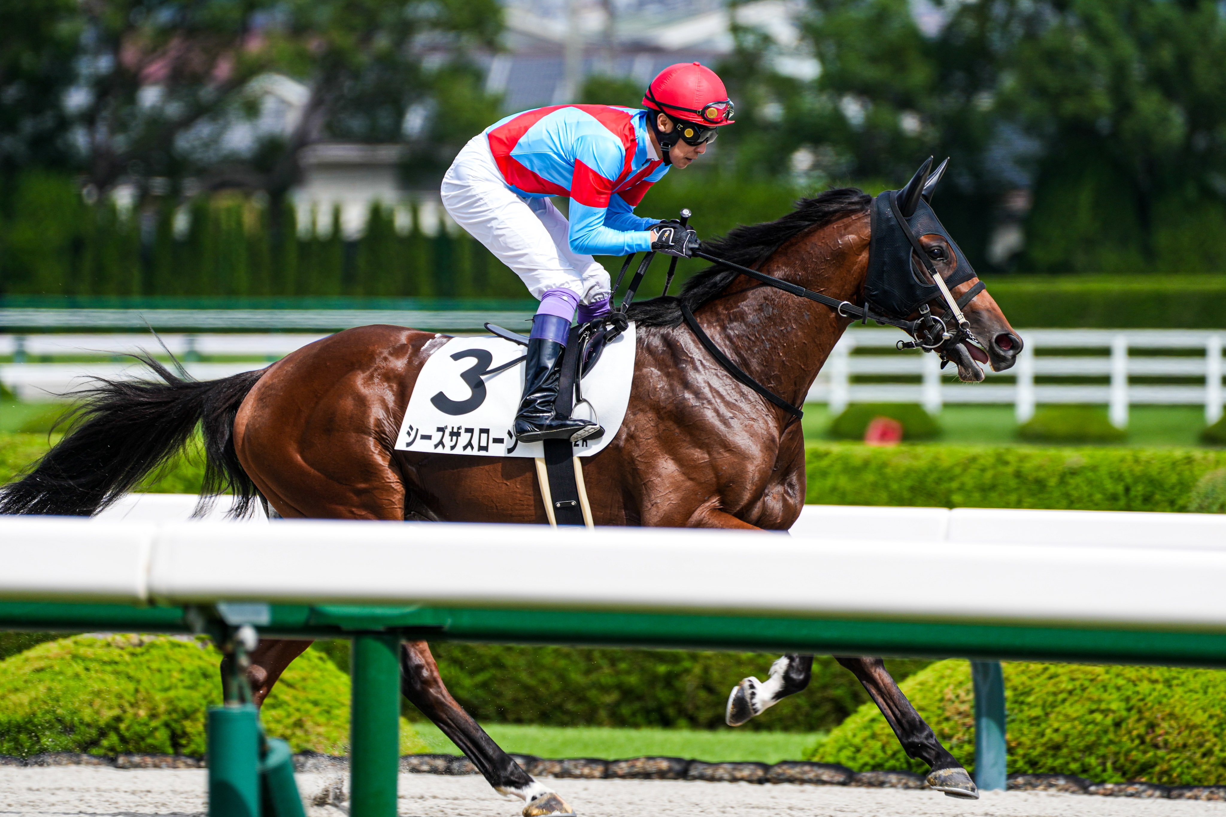 【中古】 爆勝！競馬激本 武豊の馬券がぜ～んぶわかる！/双葉社 中古】 爆勝！競馬激本 武豊の馬券がぜ～んぶわかる！/双葉社
