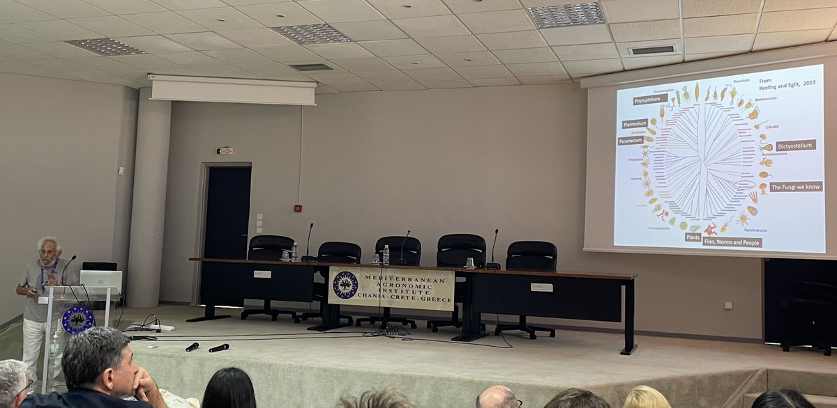 The great Claudio Scazzocchio- fungal geneticist and polymath - giving keynote first talk in Chania  - on the evolution of nitrogen utilization in eukaryotes  #IFBC25