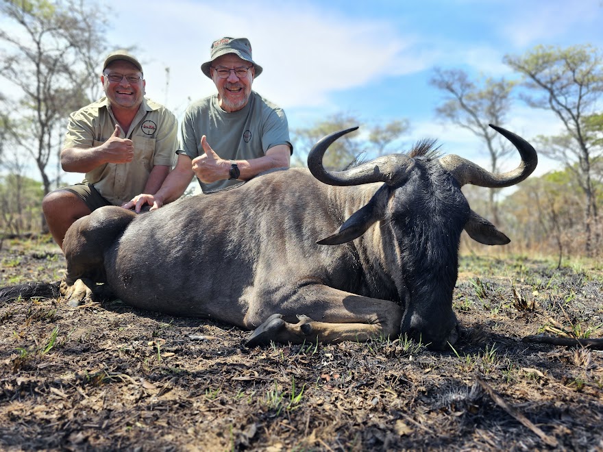SherrillPhilip's tweet photo. Andries and I celebrating a wildebeest that I took.
November 2023
#hunting_itsallaboutthejourney #whatgetsyououtdoors #huntingafrica #huntingsouthafrica #africanhunting #letsgohunting #livetohunt #vanwijksafaris #huntingisconservation #hunting #meathunter #organicmeatharvester https://t.co/VHiMxxT4lE