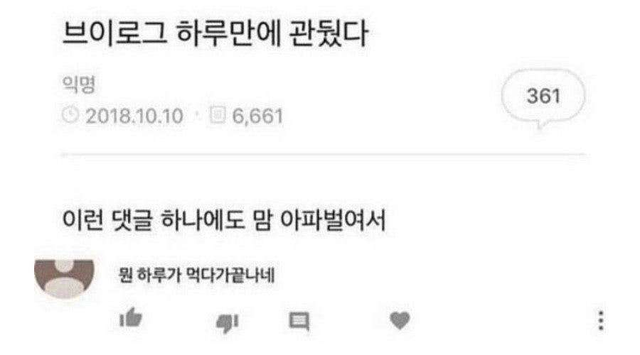 악플 수준