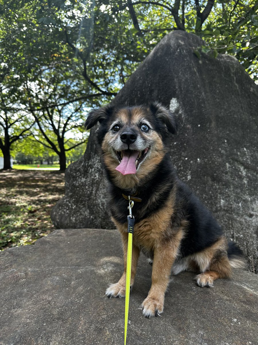 あやたんページ ♡あやたん♡ (@ayatan_daisuki) / X