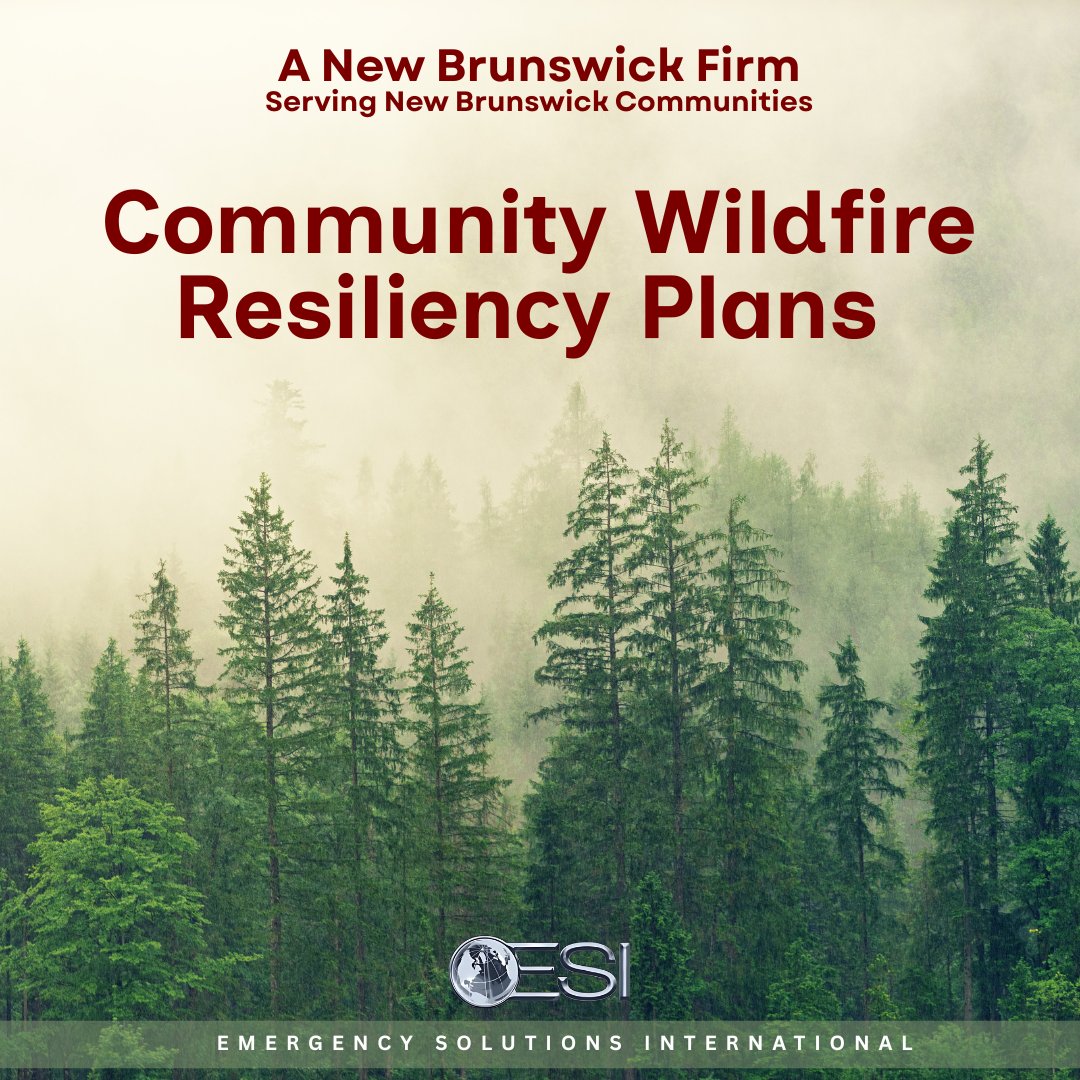 Mark Gillan🇨🇦 tweet media