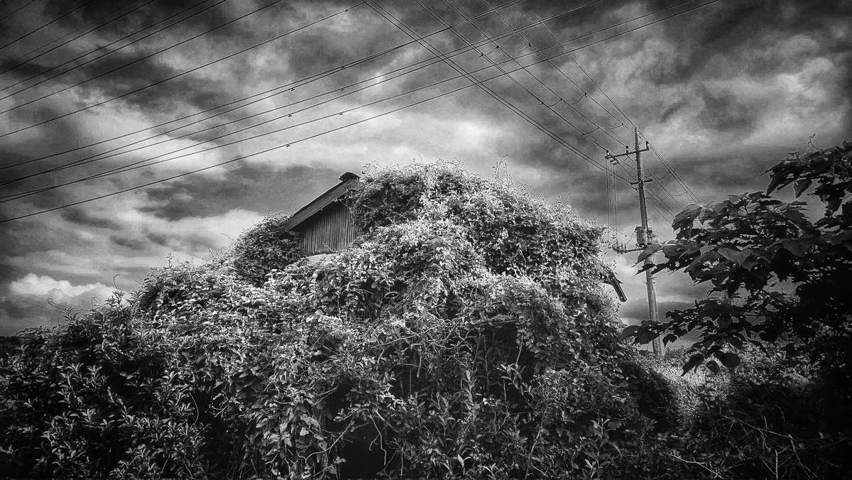 kazu ''Tsurezure Photo Journal'' (@kazu75392264) / X