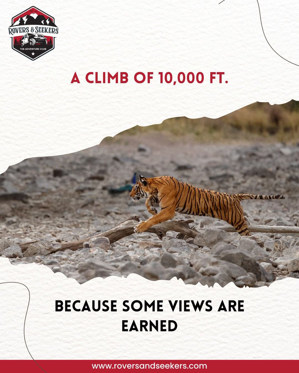 roversnseekers's tweet photo. ✨ Some trips are vacations. This one is a legacy.

🚙 10 days • 5,000+ km • A fearless tribe of women
🥾 Tiger’s Nest hike at 10,000 ft
🇧🇹 Bhutan’s valleys, Dzongs &amp; monasteries
👭 Sisterhood that lasts beyond the trip

📆 Dates: 2–11 Oct 2025
💰 ₹49,900 all-inclusive https://t.co/N3GydUWcV6