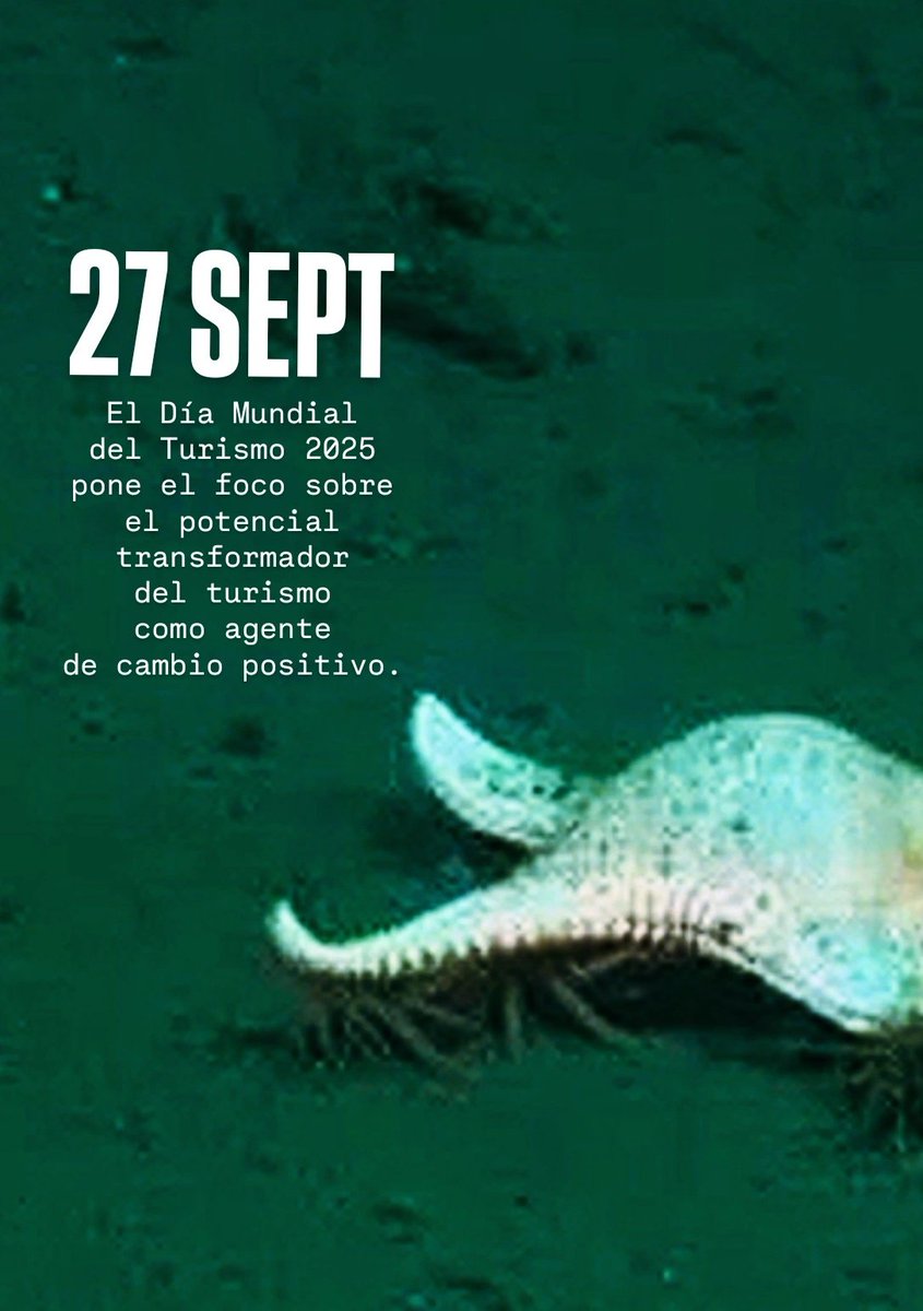 El Día Mundial del Turismo 2025 pone el foco sobre el potencial transformador del turismo como agente de cambio positivo.
Porque podamos ver más allá de la superficie.
#27sep #DiaMundialdelturismo