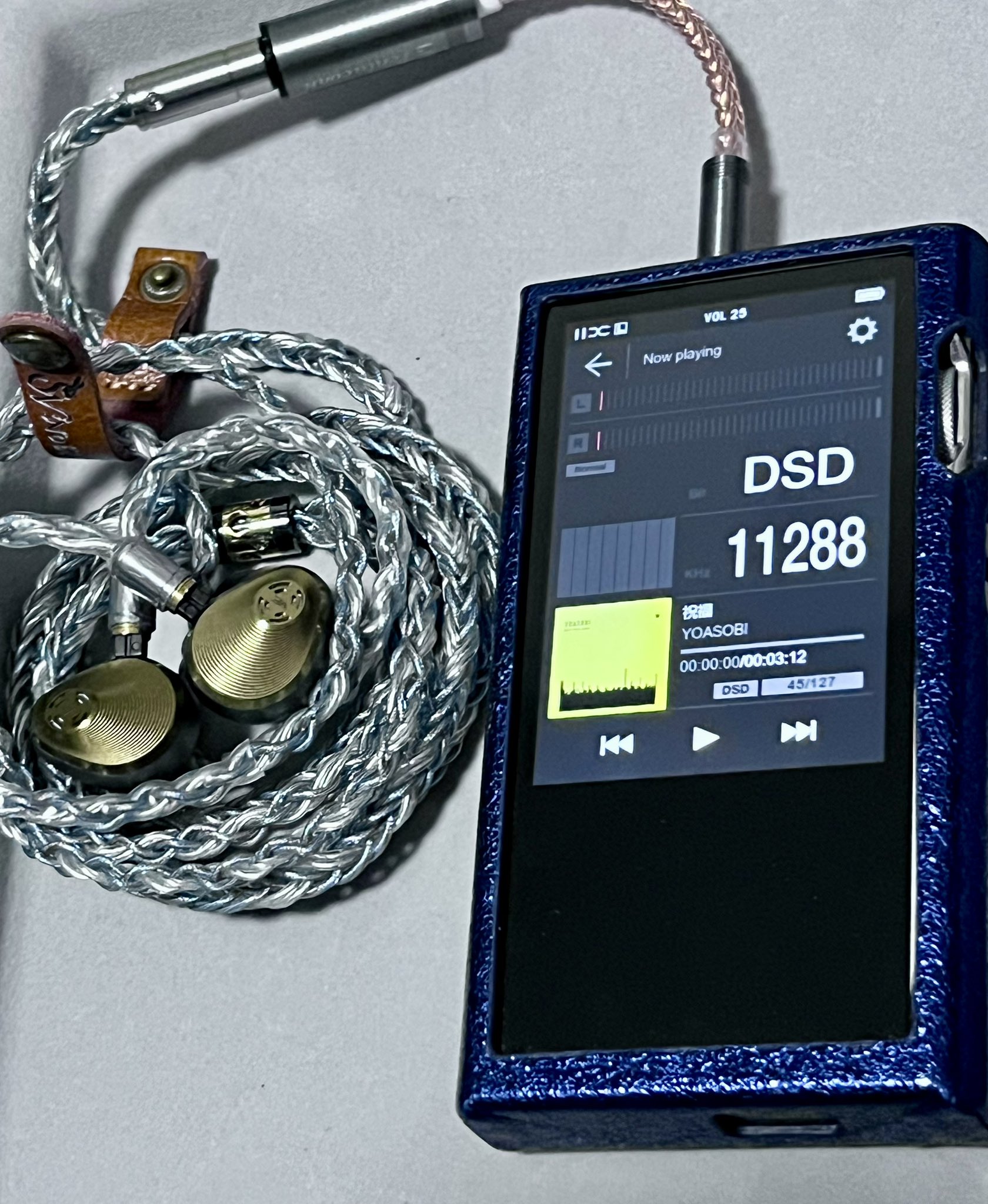 Palamnaeus スコーピオン 乾燥標本 Palamnaeus スコーピオン 乾燥標本