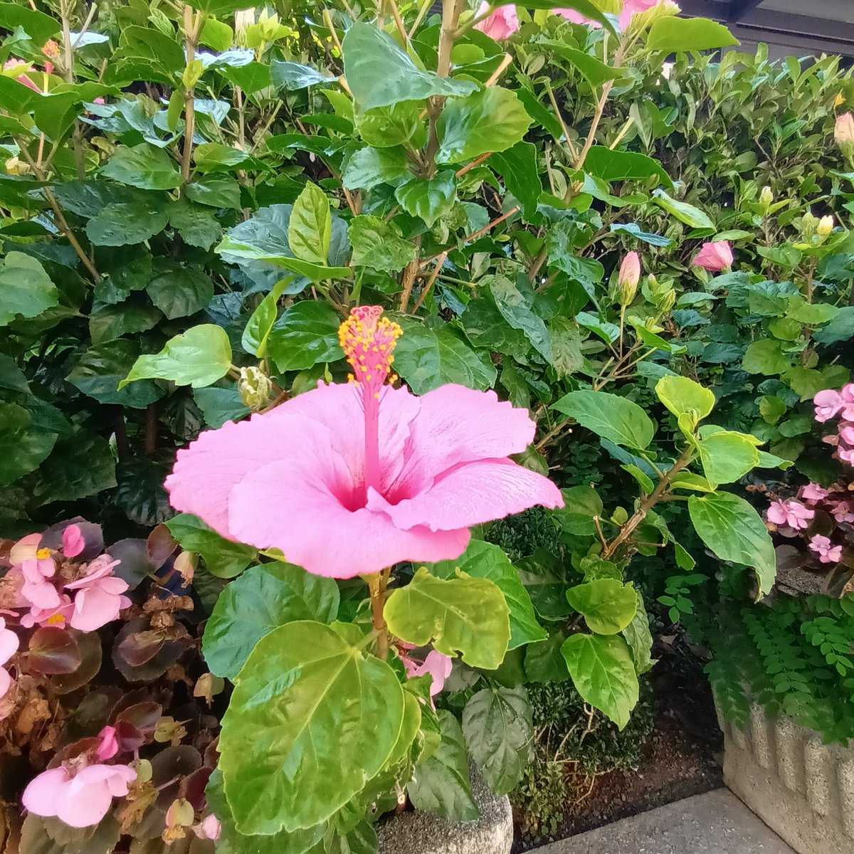 Alle persone manca la sincerità,  la trasparenza...