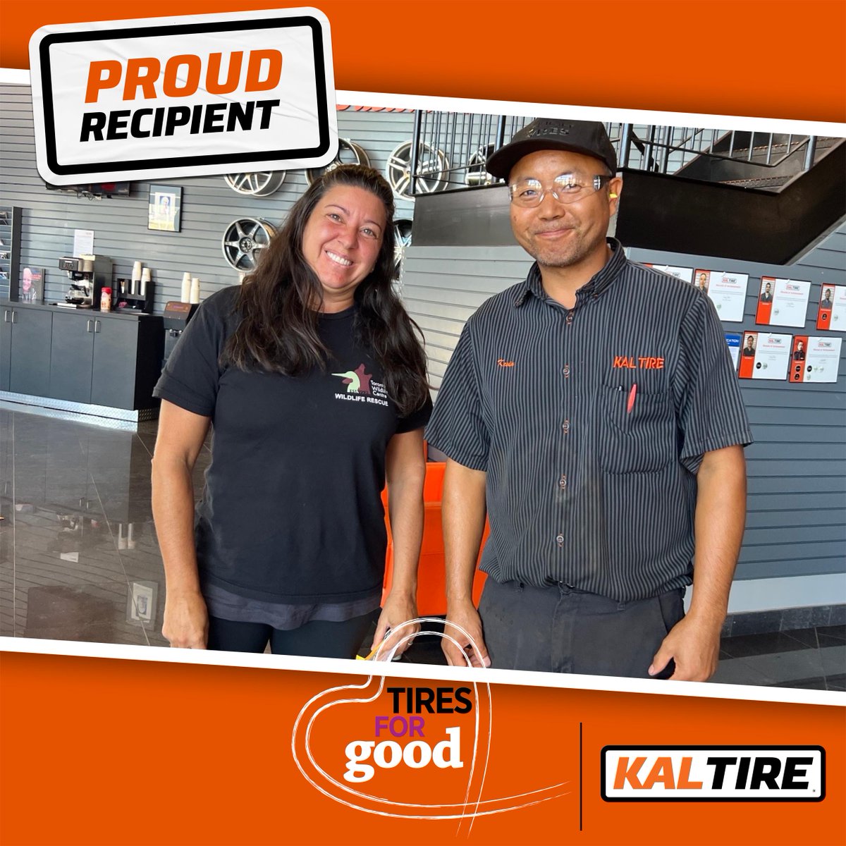 Toronto Wildlife Centre tweet media