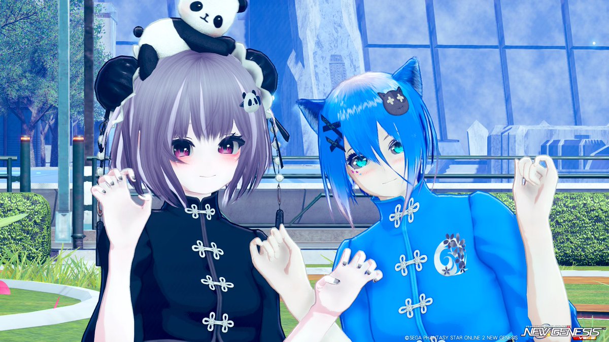 のきちゃさんを回収させて頂きました✨️
すごく可愛かった🥰

#とりにきた 
#PSO2NGS_SS