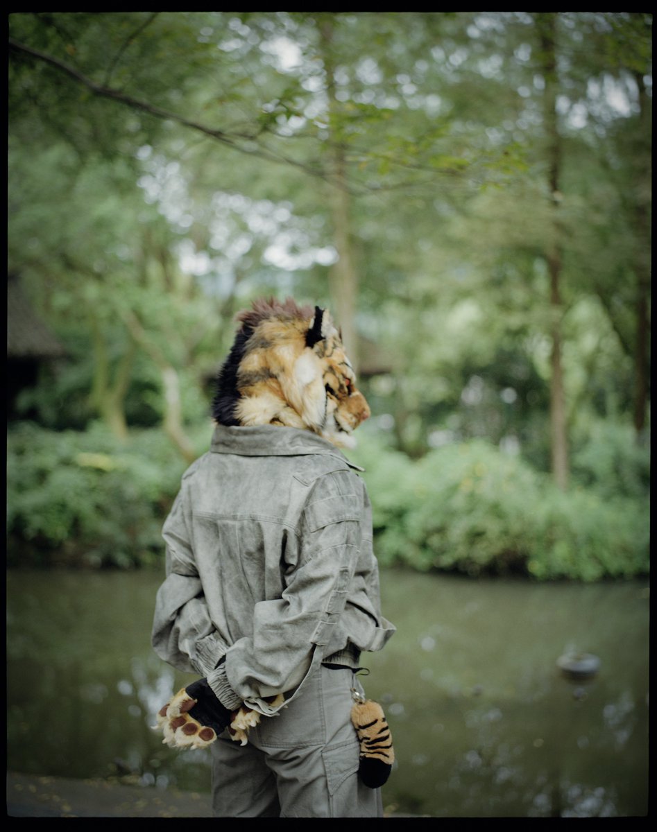 CardWolf tweet media