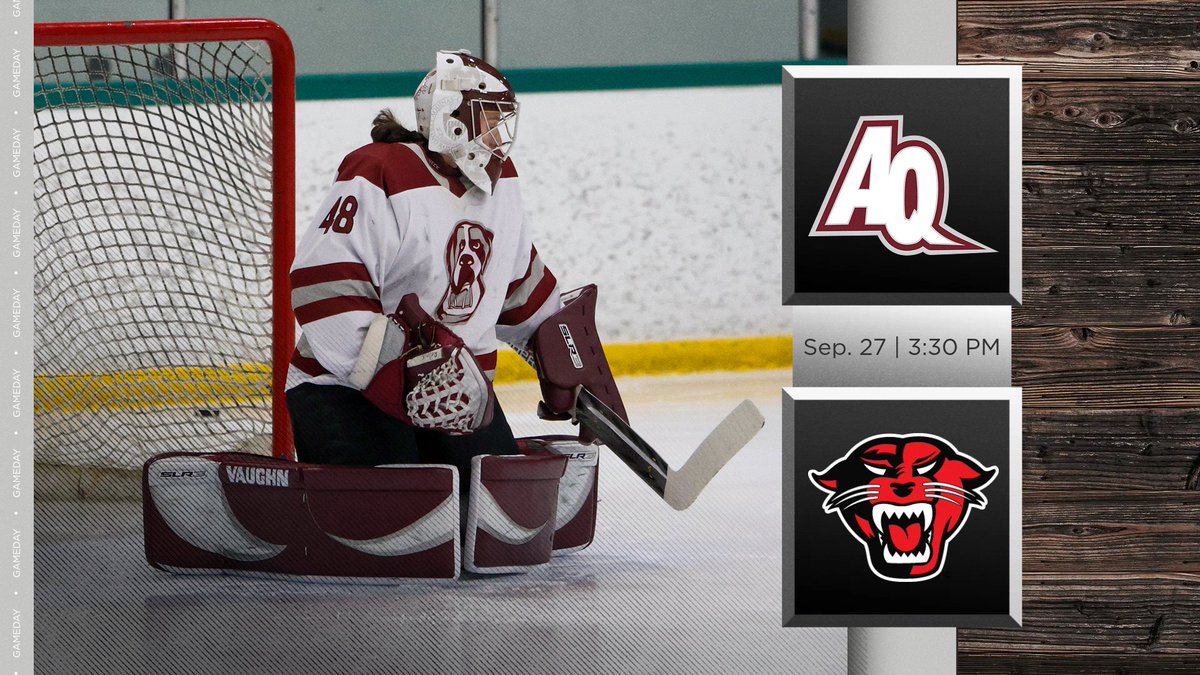 AQ Women's Hockey tweet media