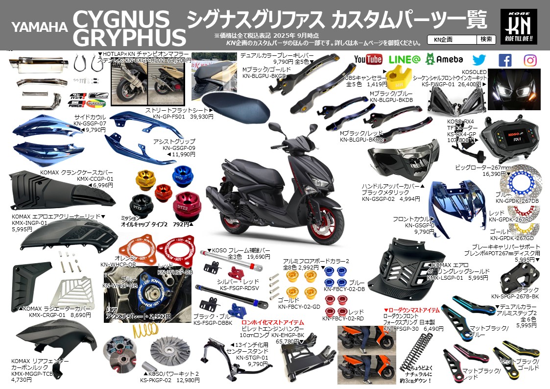 T-custom様ページ リゾマ パニガーレ V4