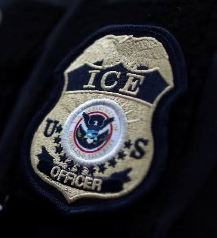 GOD BLESS ICE for Saving our Beautiful COUNTRY!! MAGA is WINNING 100% AND ALL TRUE AMERICANS  Appreciate Them and ALL THEY DO!!💪🏻🇺🇸