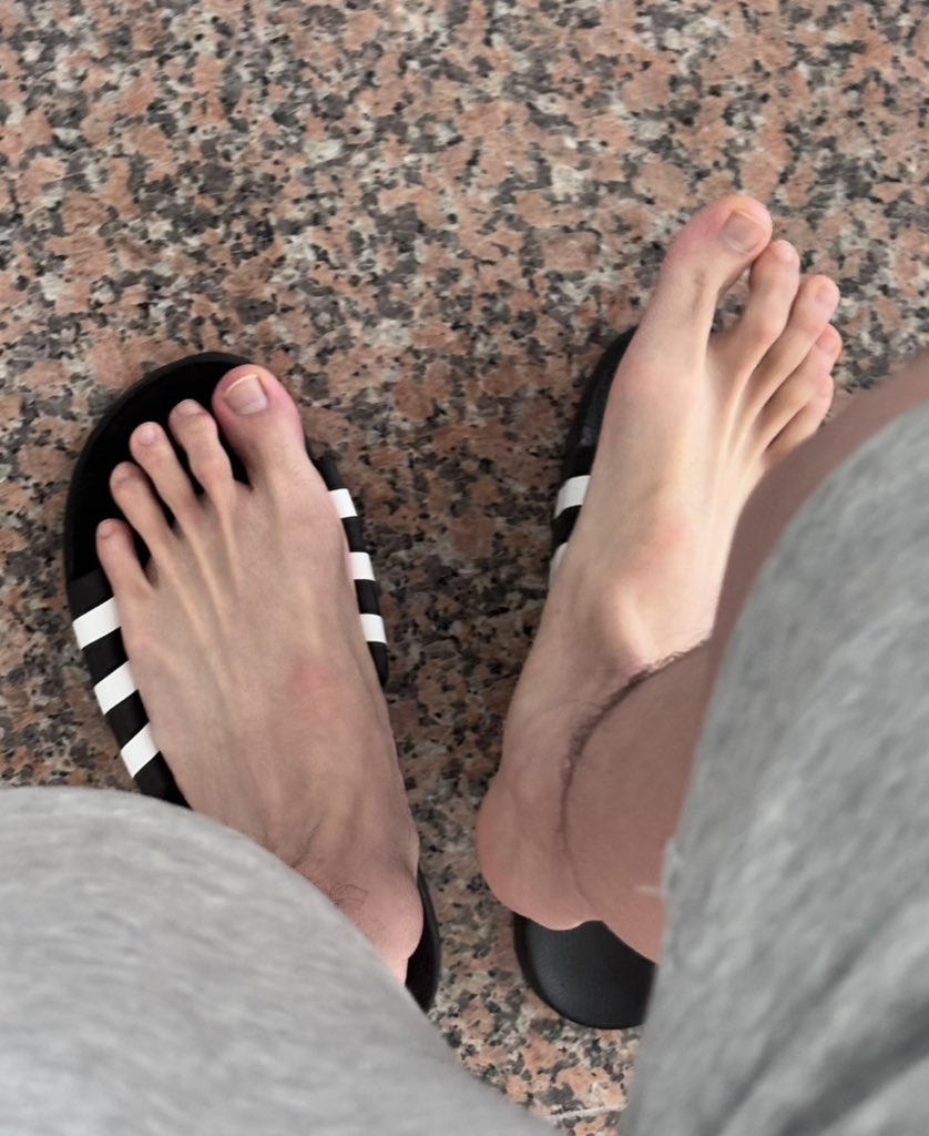 白毛藏獒 (@baimaoaos) on Twitter photo 