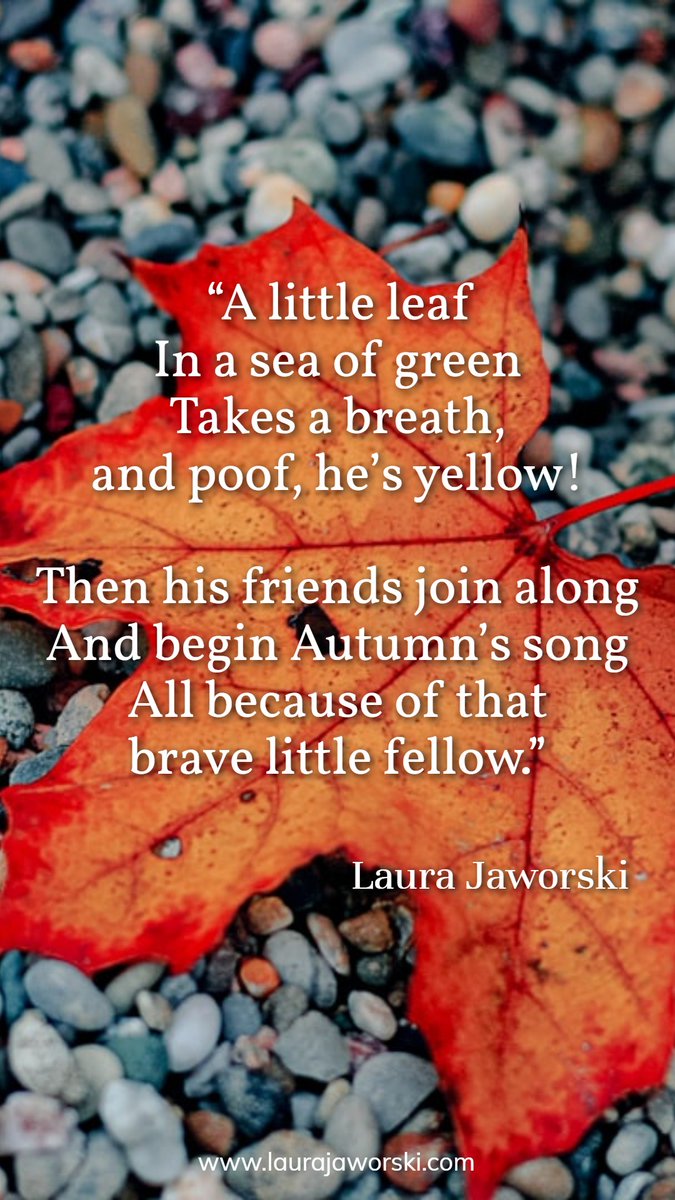 BugburryPond's tweet photo. “A little leaf
In a sea of green
Takes a breath, and poof, he’s yellow!

Then his friends join along
And begin Autumn’s song
All because of that brave little fellow.”

Laura Jaworski 🍂

#fall #autumn #poetry #fallquotes #laurajaworski #namaste https://t.co/8iTUVbqeDy