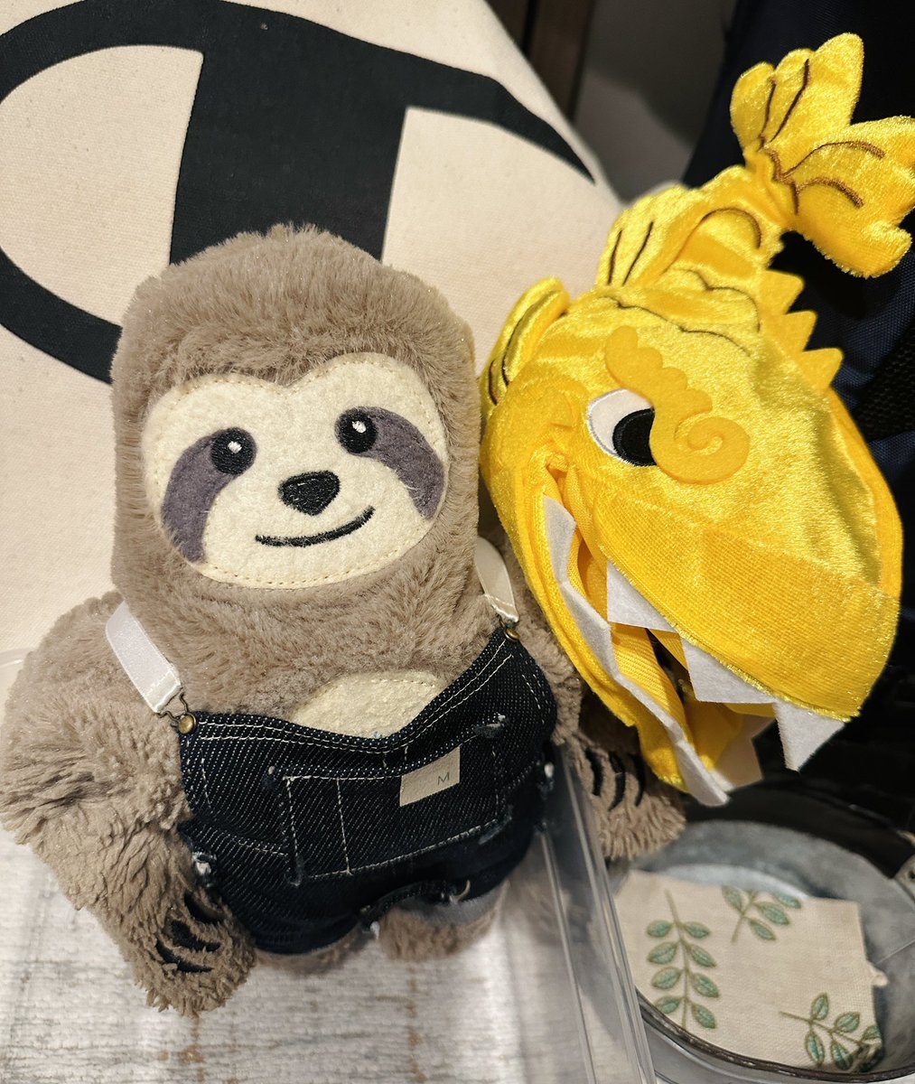 【ぬいぐるみオーダー】もりまっちょ様 マッチョくん🦥 (@machokun_sloth) / Posts / X