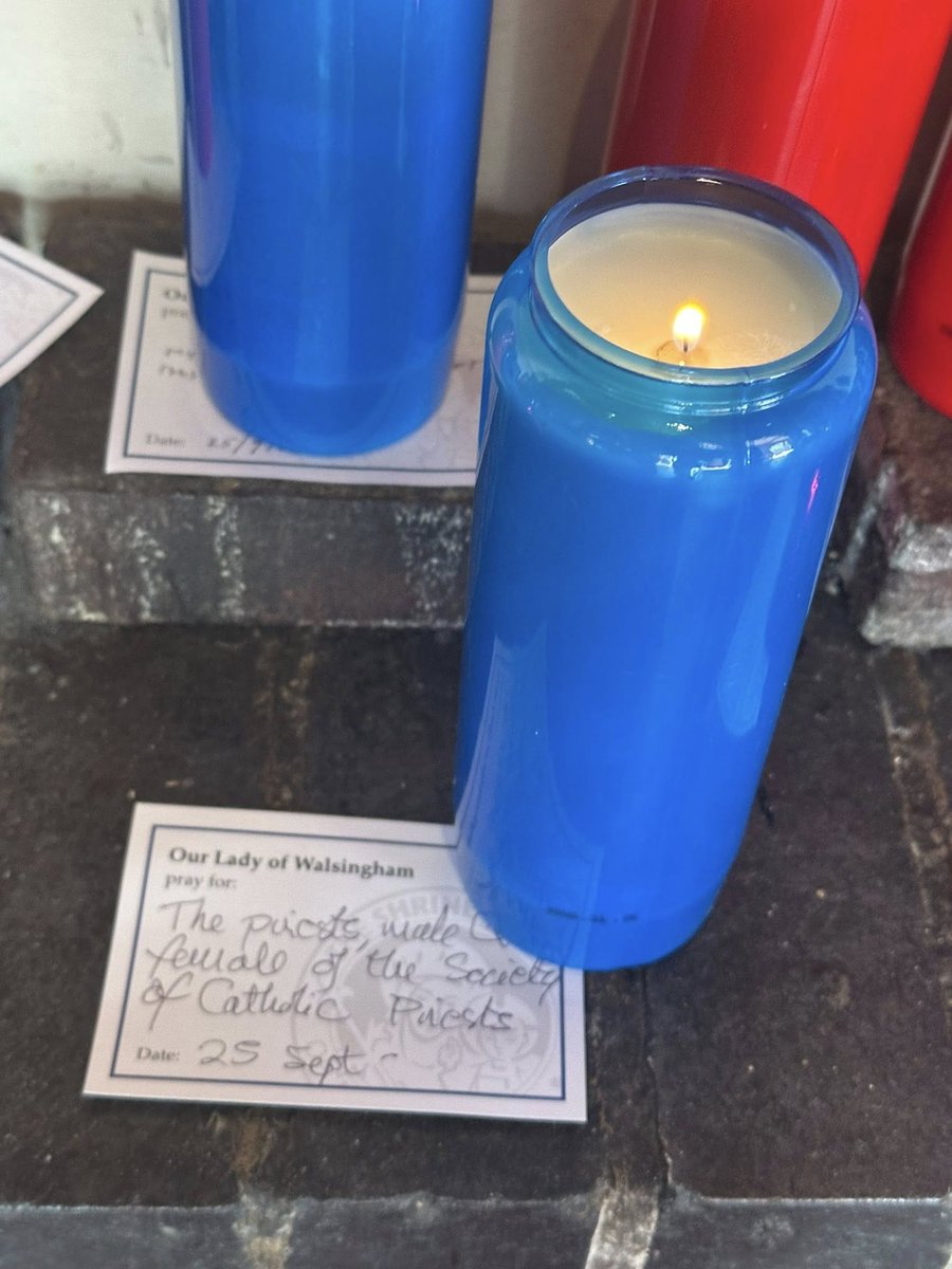 Yesterday Fr <a href="/Ian_Gomersall/">Ian Gomersall SCP</a> Provincial Rector of SCP Europe celebrated Mass at the Holy House at <a href="/ShrineOLW/">The Shrine of OLW</a> with special intention for the priests of SCP.