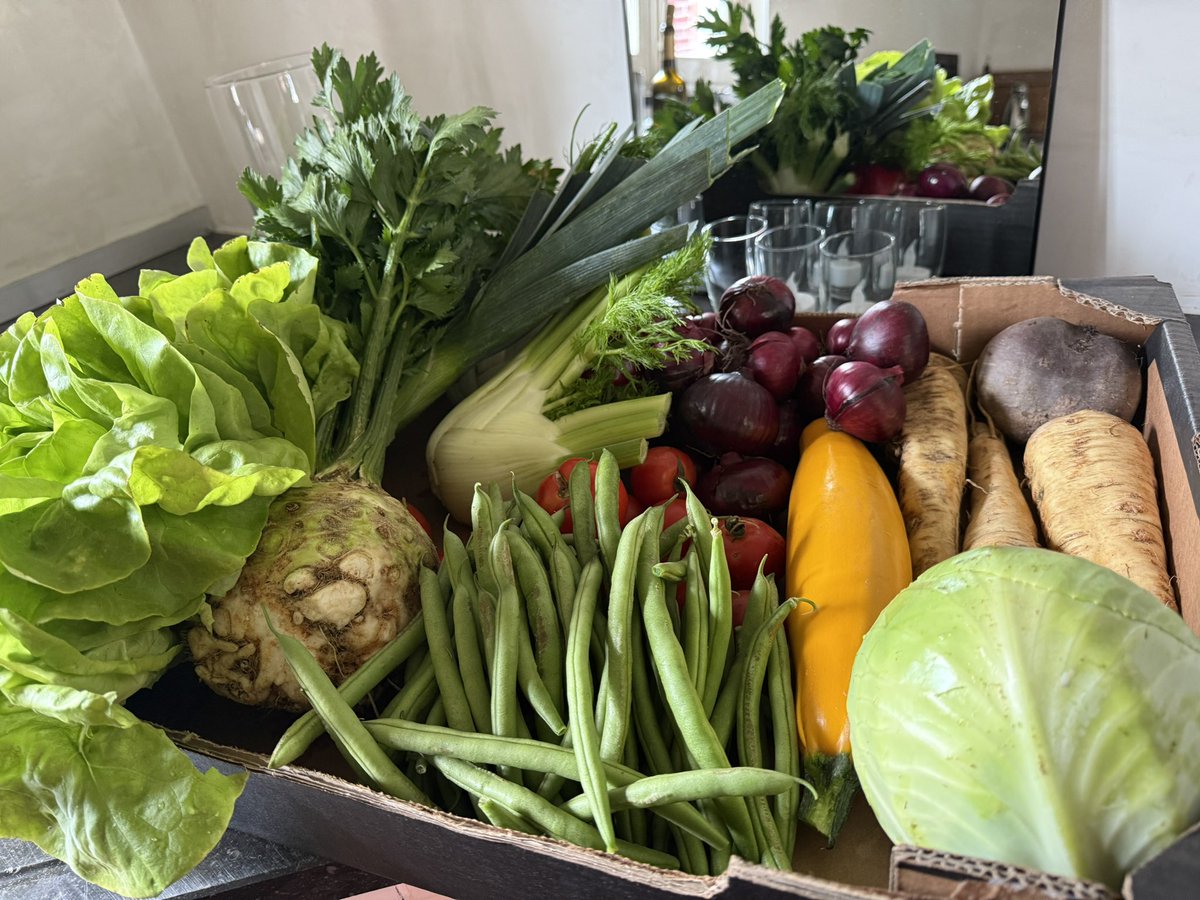 🫑🧄Puur van het land, rechtstreeks in de pan!
Wat een rijkdom: onbespoten seizoensgroenten, vers van de koude grond. Vandaag wordt dat een heerlijke, hartverwarmende groentesoep. 🍲
#MoNatuur levert het weekmenu – #biologisch, eerlijk en vol smaak. 💚