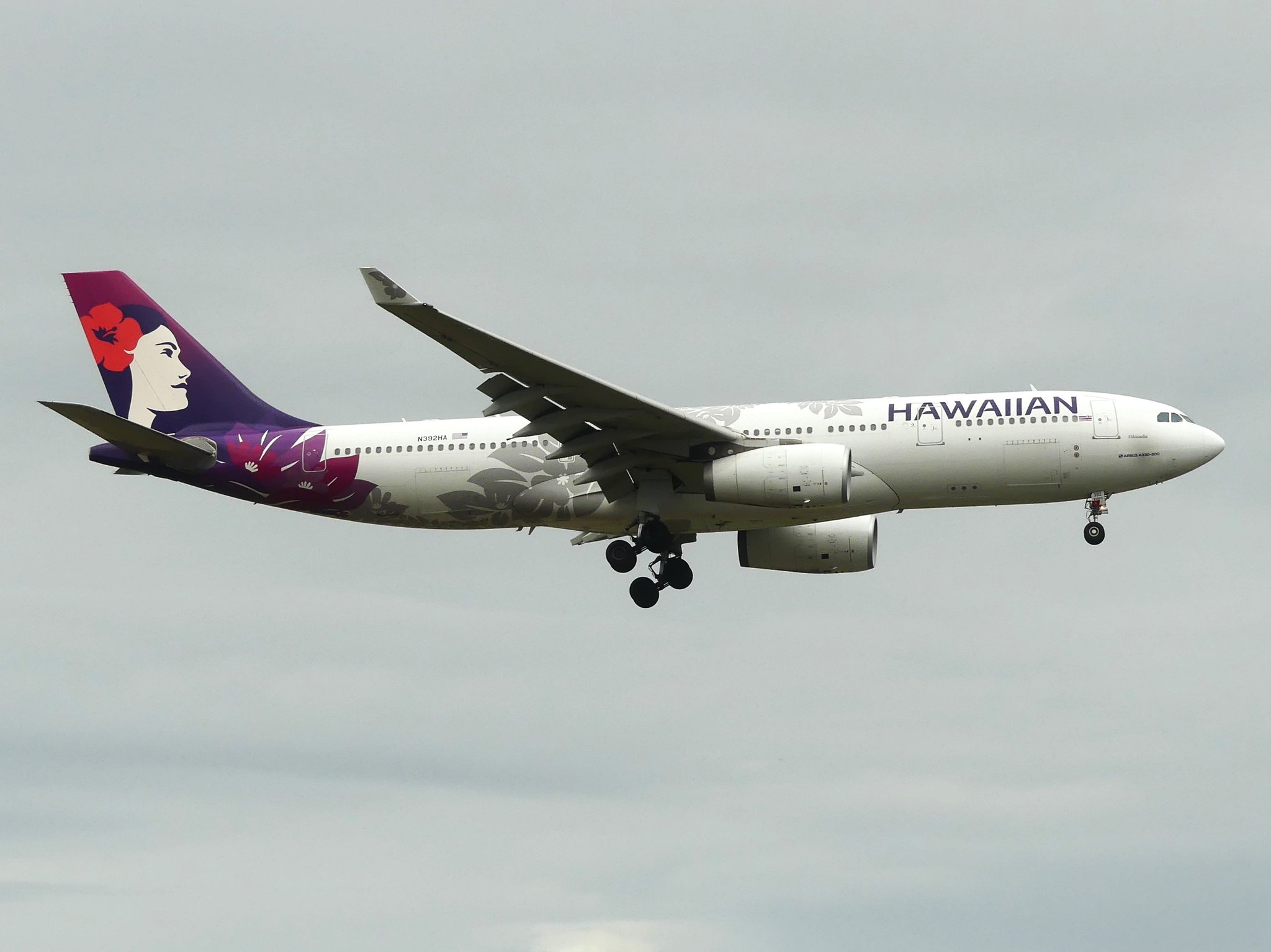 HAWAIIAN AIRLINES A330-200 ハワイアン航空 エアバス ハワイアン航空 Hawaiian Airlines | ハワイアン航空の機材には