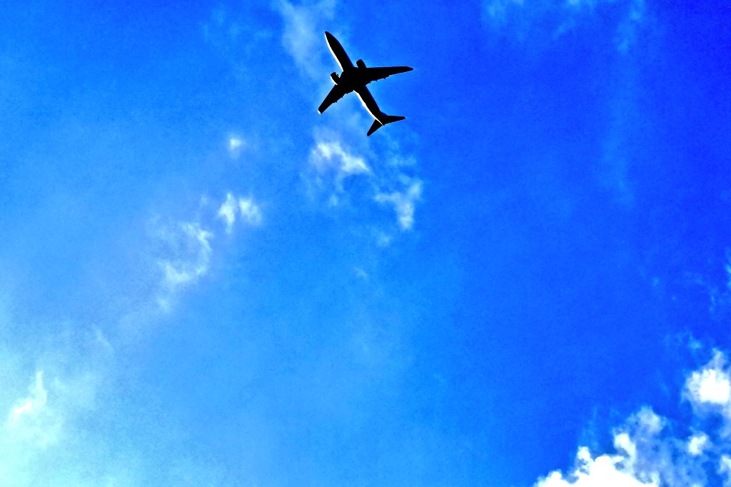 2025.9.27
#Insheart 「10周年ツアー」東京公演 @ KIWA TENNOZ

7年ぶりの #インスハート
バイオリンとアコギの現役医師ユニットに出会って10年
母が認知症になったり大切な人がなくなったり自分も病気をしたりコロナがあったりで自分の価値観もだいぶ変わり、インスハートの歌がより刺さりました