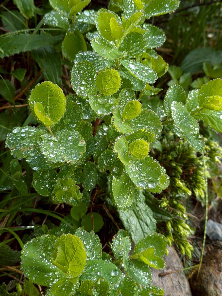 なんだかんだ
乗り越えてきてるから
今がある
たくさん諦めたけど
こだわってた事は
今何にも残ってない
それが現実
縋っても意味無いのかな
あっさり捨てて
進むのが
良いって気づき始めたよ