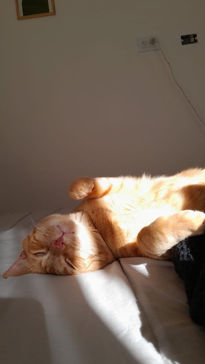BonavenaG's tweet photo. Please, don't wake me
No, don't shake me
Leave me where I am
I'm only sleeping https://t.co/5pOuLDViIf