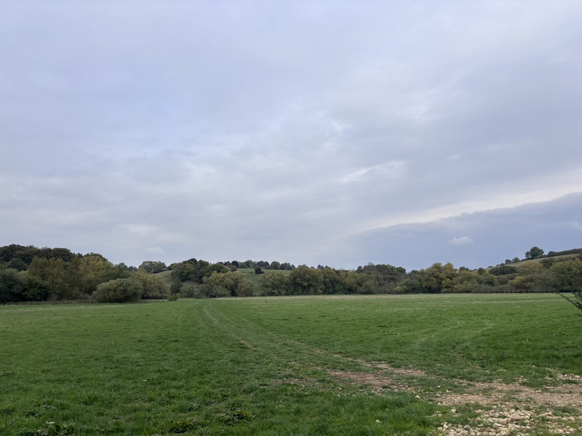 whitewater98's tweet photo. @oxonmuso it’s not quite the @quantockhills but just a nice #walkingthedog https://t.co/IYiKEgU7vC