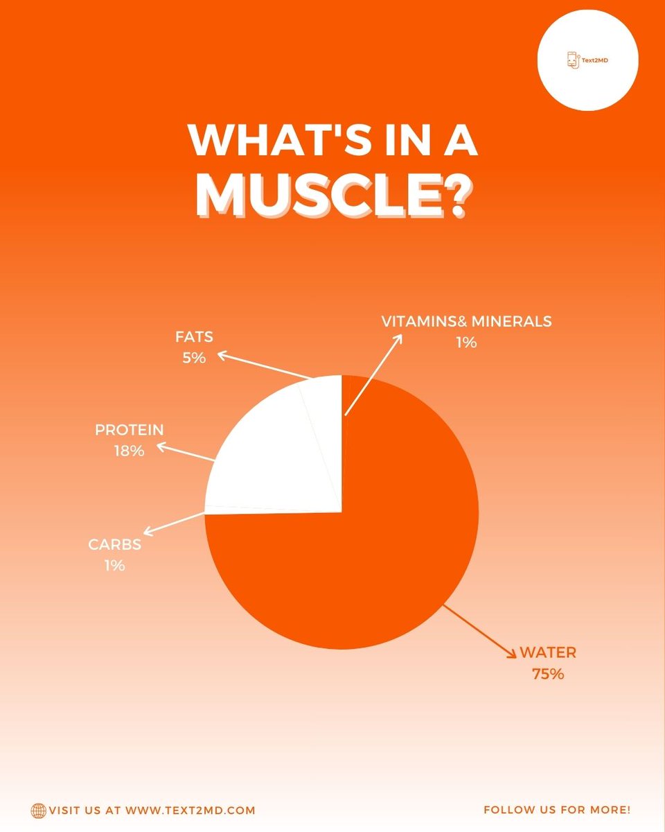 Text2MD's tweet image. Your muscles are:
💧 75% water
🍗 18% protein
🥑 5% fat
🍞 1% carbs
🧂 1% vitamins &amp;amp; minerals
Hydration &amp;gt; supplements.
Don’t forget your water bottle.