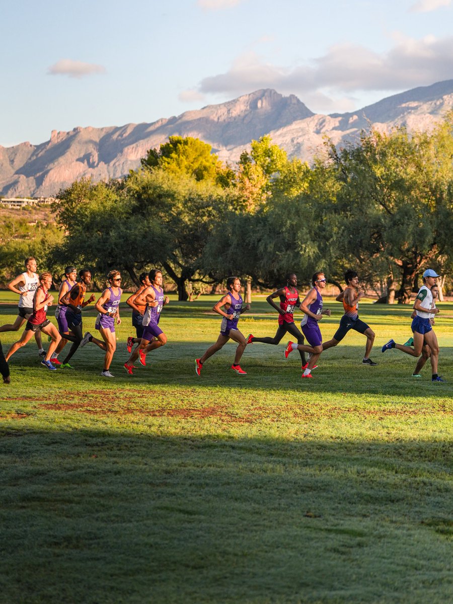 GCU_TrackXC's tweet image. Podium finishes from the Lopes! 💪
Recap here ➡️ lopes.news/XCTucson