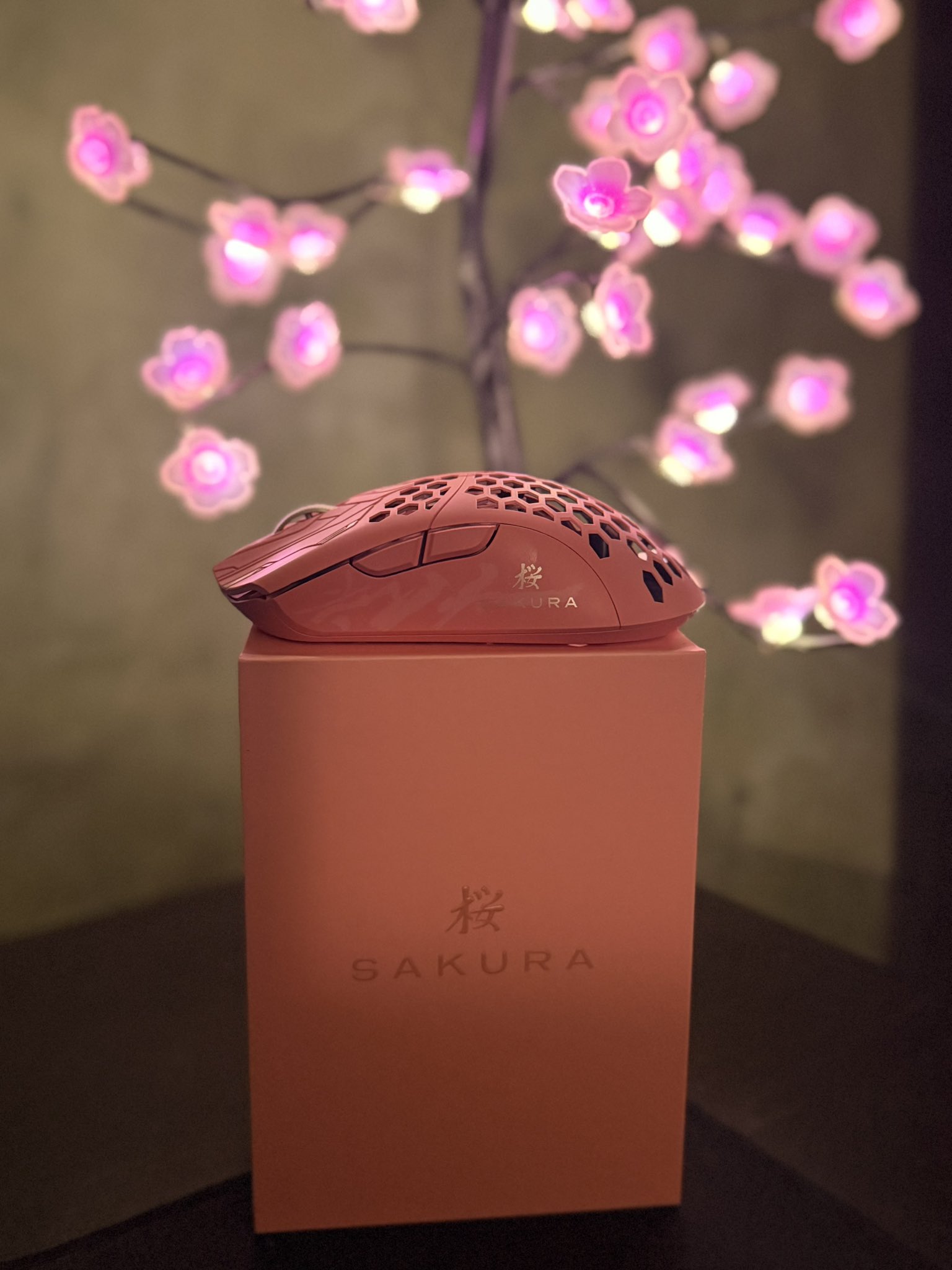 Finalmouse (@finalmouse) / X