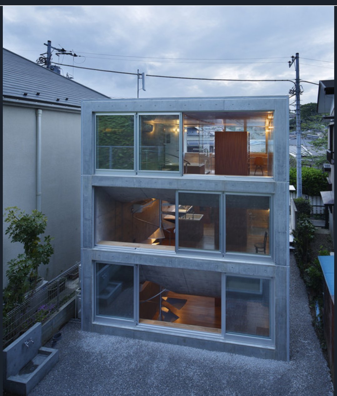 ハイビスカス様のお部屋 楽天市場】苗 夏 ギフト 花 プレゼント 鉢花 インドア ハイビスカス