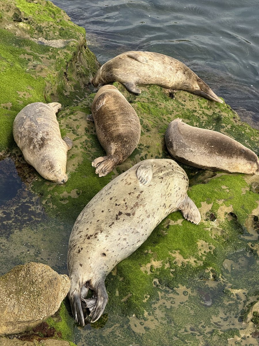 R i n 🦈 ੈ✩‧₊˚ tweet media