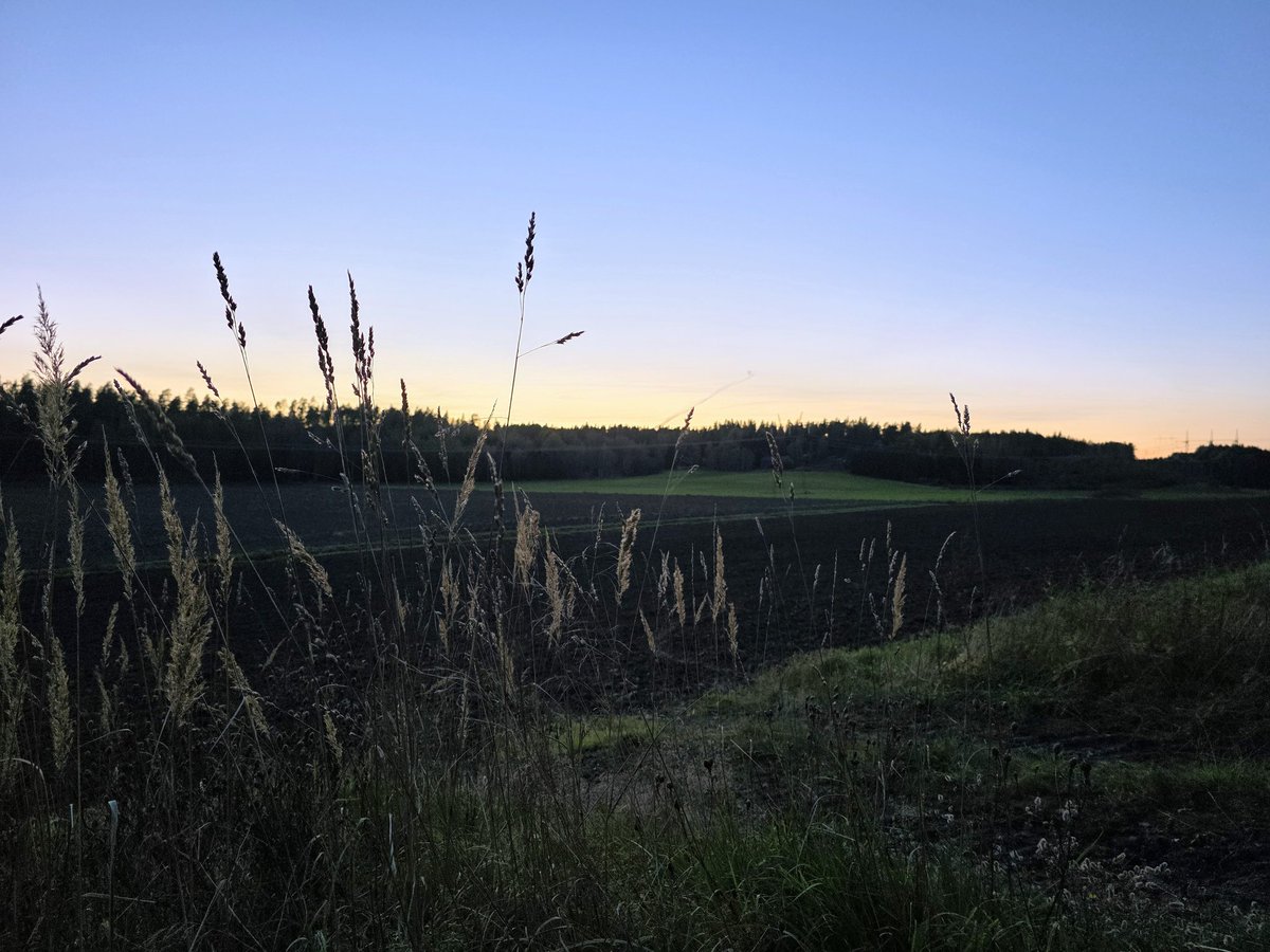 Juha Auvinen (@zehov) on Twitter photo 