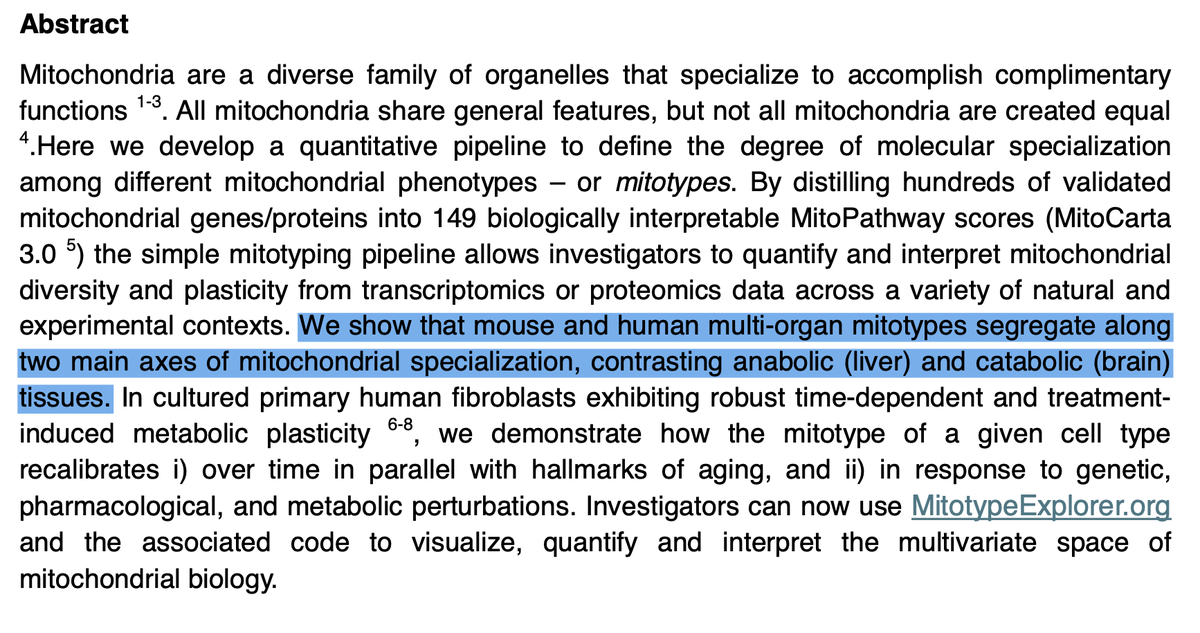 surajjpathak's tweet photo. A great pre-print! Personally, I'm an avid believer in understanding the intricacies of subpopulations of mitochondria within and across tissues.  Awesome work from @MitoPsychoBio - a lab who's work that I admire. https://t.co/iqfVS6fjar